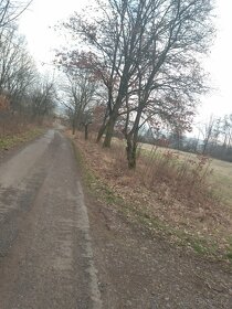 Větší soubor pozemků: Jenčice a Trnobrany. Okr. LTM, 1,6ha - 6