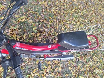 Manet korado v pěkném stavu - 6