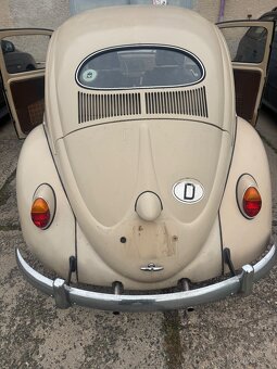 Volkswagen Brouk 1953 - 6