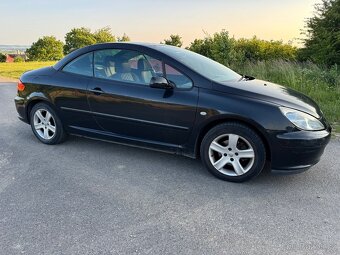 Peugeot 307 cc, 2004, 2.0, benzin, stk 06/2027 - 6