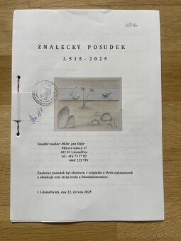 Jan Zrzavý – ZNALECKÝ POSUDEK; 25x20,5 cm; originální kresba - 6
