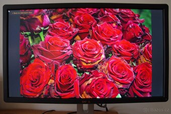 Dell P2414HB Full HD 24 palců - 6