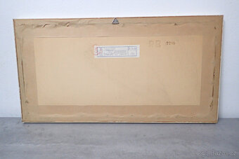 Junek Váslav - Loď Esperanza - 6