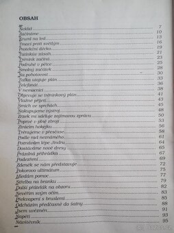 S devatenáctkou do Bernu - 6