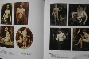 F. X. NASKE - MALÍŘSKÉ DÍLO, kniha, nová, 500 obr. - 6