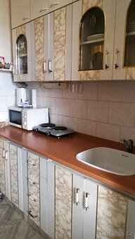 Pronájem 1+kk v bytovém domě se zahradou - 6