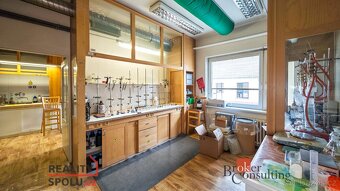 Prodej, komerční/obchodní prostory, 740 m2, V Ráji 906, Zele - 6