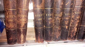 Květy 1885-1889 - 6