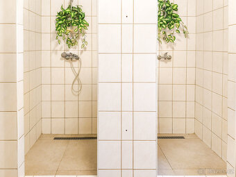 Pronájem bytu 2+1, 77 m2, ul. Janská, Opava - 6