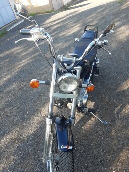 Suzuki LS 650 Savage - 6