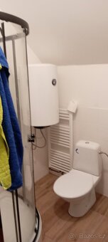 Přenechám pronájem bytu podkroví Pozorka - 6