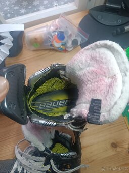 Brusle Bauer M5 PRO velikost 2.5 D - 6