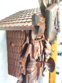 Velke Kukacky, 8 denni ,nove, Nemecko - 6