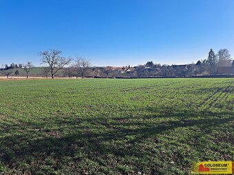 Štěchov, stavební rezerva, 4 979 m2 – pozemek - 6