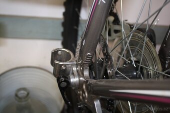 Thule Chariot vozík za kolo - 6