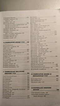 Mikrobiologie - 6