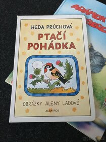 Kniha “Adámek hledá abecedu” a “Ptačí pohádka “ - 6