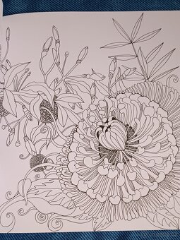 Omalovánky pro dospělé Exotický prales - 6