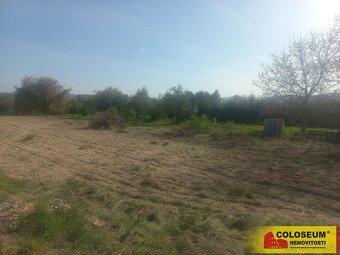Sebranice - zahrada, 2000 m2, příjezdová asfaltová komunikac - 6