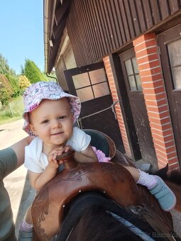 Pronájem & Ustájení - 6