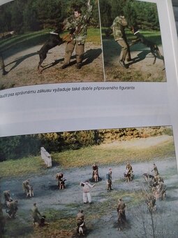 Výcvik služebních psů - 6