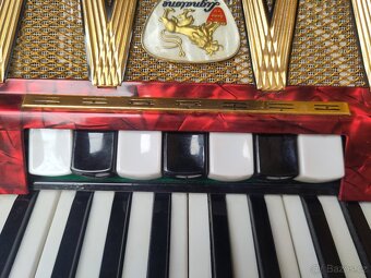 Akordeon Delicia Melodia VIII - 6