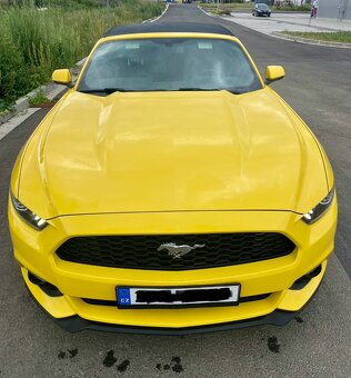 Mustang Ford Cabrio - 6