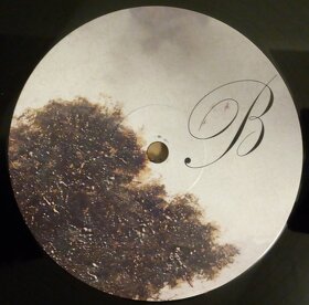Psí Vojáci - Brutální Lyrika ( 2LP ) - 6