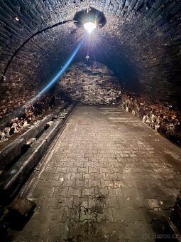 Prodej vinného sklepa - Brod nad Dyjí - 6