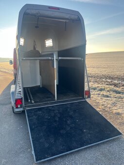 PŘÍVĚS NA KONĚ , PŘEPRAVNÍ KONÍ SARIS - 6