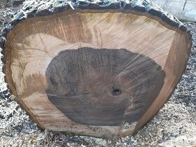 Ořechové dřevo - 6