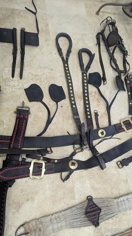 Prodám párové postroje do kočáru s chomouty - 6