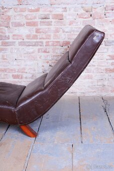 Elegantní hnědá lenoška - 6