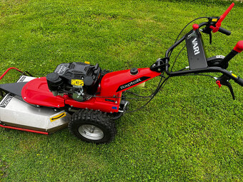 VARI RAPTOR - 6