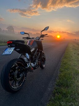 KTM Duke 125 2014 - 6