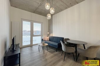 Brno - Horní Heršpice, pronájem bytu OV 2+kk, 37 m², parkova - 6