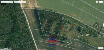 Lesní pozemky v Bítouchově u Mladé Boleslavi, ev.č. VŠ-7734 - 6