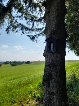 Dovolena s vlastním koněm - 6