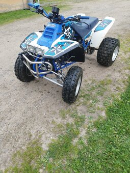 Yamaha Warrior 350 - 6