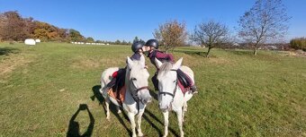 Pony do sportu pro šikovného juniora - 6