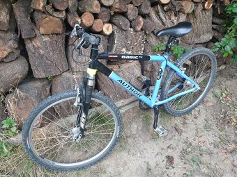 Author Basic SX vel. 17 - 6