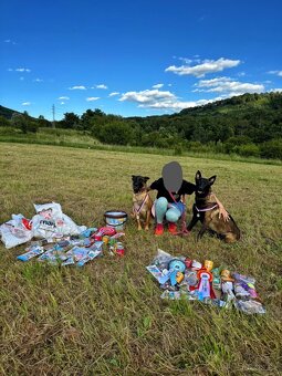 Belgický ovčák Malinois - 6
