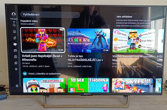 49(123cm) TV KDL-49WE755B - 6