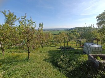 zahrada Žitenice - 6