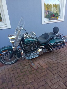 Harley - 6
