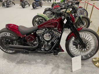Harley Davidson Custom Breakaut - 6