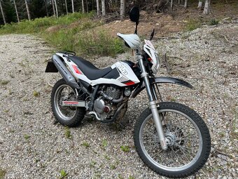 Beta Alp 4.0 - 6