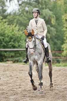 Milionový valach ČT - 6