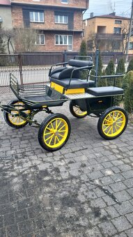 Kočár pro pony a menčí koně - 6