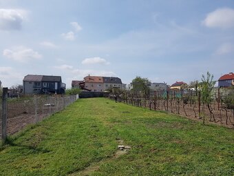 Prodám zahradu v Lužicích - 6